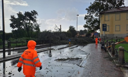 Tromba d'aria, Verderio conta i danni: tetti distrutti e alberi sradicati FOTO e VIDEO