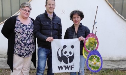 Wwf e Plastic free insieme per ripulire le sponde dell'Olona