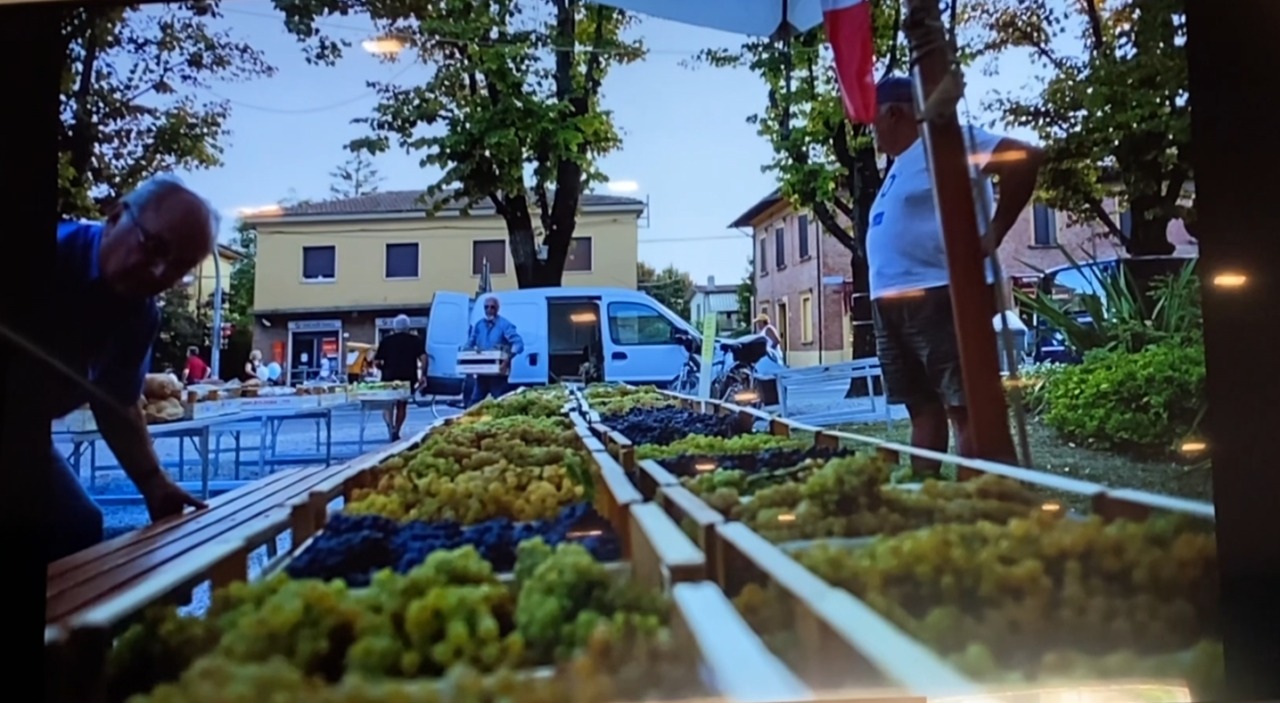 A Castenaso torna la Festa dell’Uva