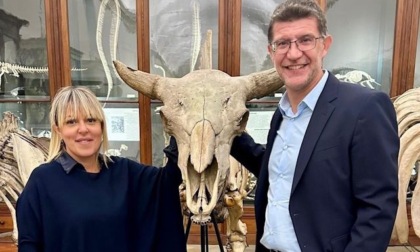 Agosto da record per il Museo di Scienze Naturali: 46mila ingressi con il ticket gratuito