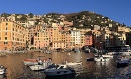 Camogli: in arriva la 7ª edizione di “Andiamo a barcheggiare! A remi, insieme a U Dragun”