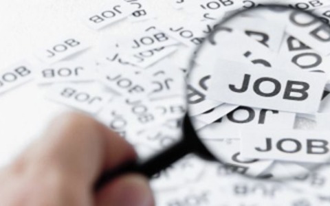 Cerchi lavoro? Scopri le offerte attive a Cremona e provincia (16 – 22 settembre 2025)