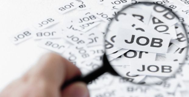 Cerchi lavoro? Scopri le offerte attive a Cremona e provincia (16 – 22 settembre 2025)