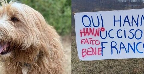Chiesta l’archiviazione per le indagini sull’uccisione del cane Franco a Monte San Pietro