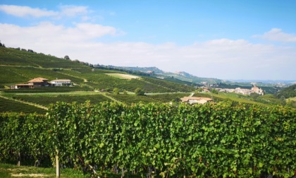 Dalla Regione Piemonte 12 milioni per restituire spazio alla natura e contrastare il consumo di suolo