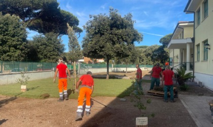 Interventi di manutenzione negli istituti scolastici