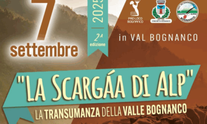 “La Scargàa di alp”: domenica 7 settembre in Val Bognanco la discesa del bestiame dall'alpeggio