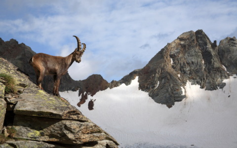 La Valtellina si prepara a due grandi appuntamenti culturali internazionali