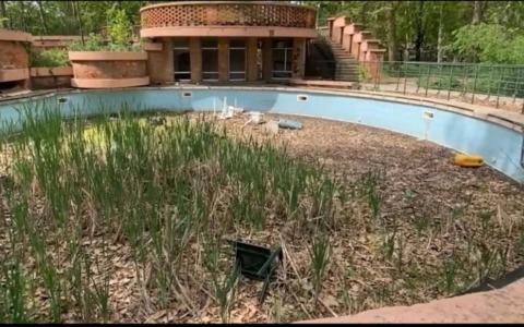 Nuova vita per la piscina Sempione di Torino