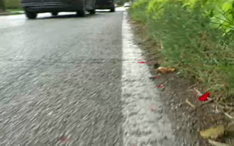 Resta gravissimo il bimbo di 7 anni investito in bici con la mamma ad Adria da un automobilista senza patente e assicurazione