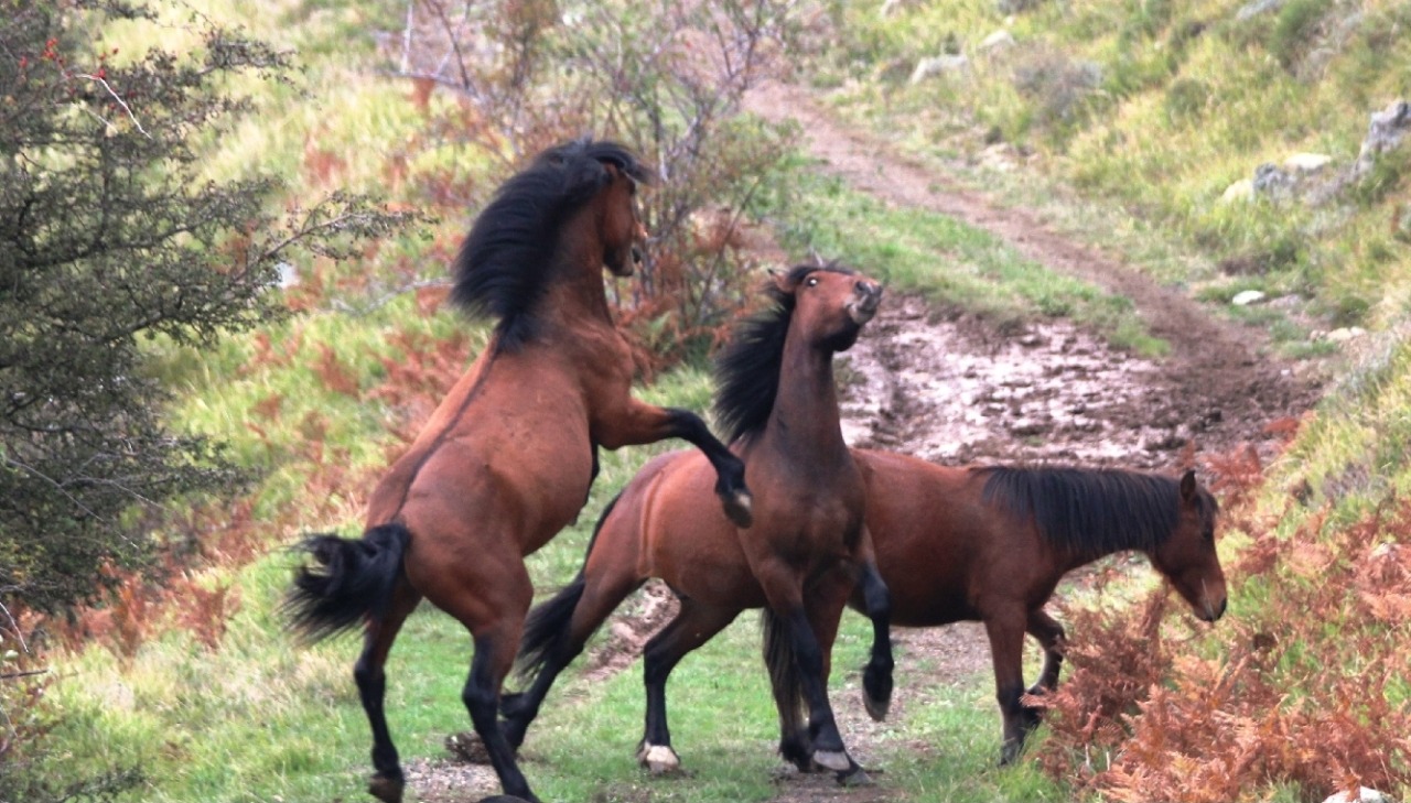 Ricco fine settimana di appuntamenti nelle valli del Parco dell’Aveto