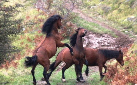 Ricco fine settimana di appuntamenti nelle valli del Parco dell’Aveto