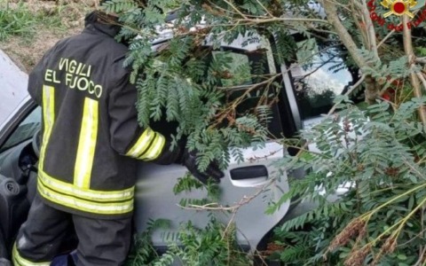 Serie di incidenti stradali a Novellara, Reggio Emilia e Rio Saliceto