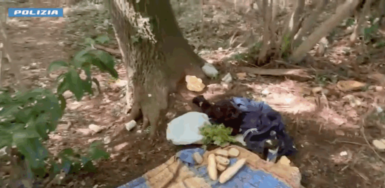 Trovato un bivacco nel bosco, arrestati tre spacciatori