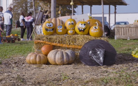 Tulipania rilancia Halloween: escape room “su misura” nel giardino di zucche