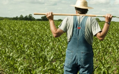 Tutela della biodiversità e delle colture agricole: al via il corso