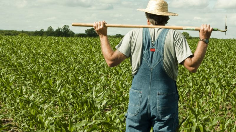 Tutela della biodiversità e delle colture agricole: al via il corso