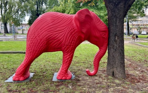 Un elefante rosso al “nuovo” teatro Erios: il 4 ottobre la riapertura
