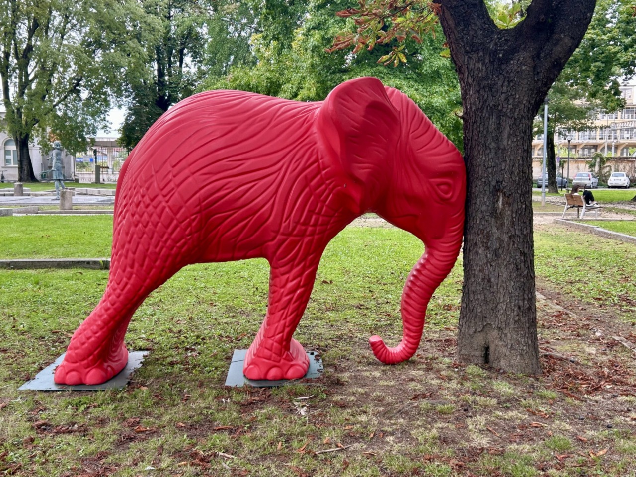 Un elefante rosso al “nuovo” teatro Erios: il 4 ottobre la riapertura