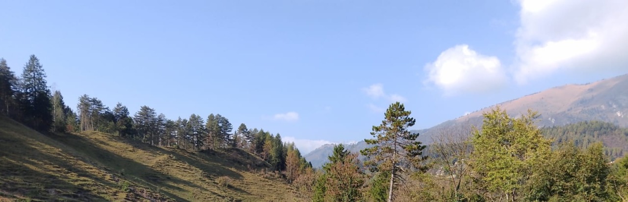 Alla scoperta della Val Seriana in e-bike: un viaggio tra natura, storia e sapori