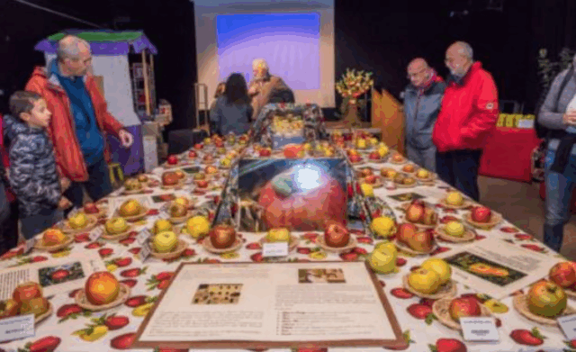 Cosa fare a Biella e provincia nel weekend: eventi di sabato 25 e domenica 26 ottobre 2025