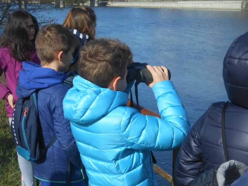 Domenica 19 ottobre sul lungo Entella arriva il birdwatching dei piccoli
