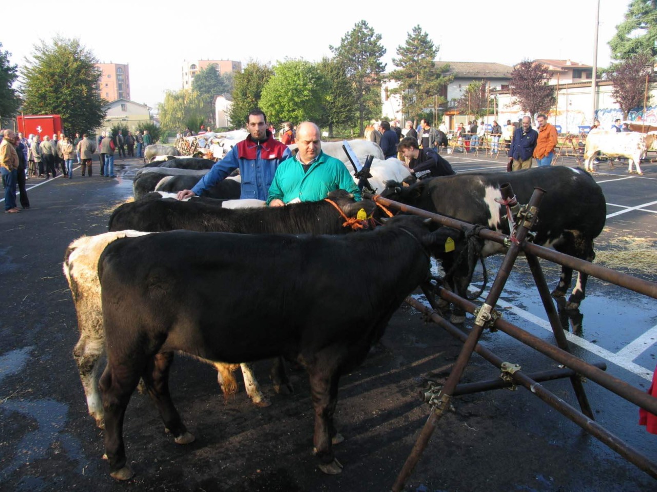 Domenica arriva la 122^ Fiera del Crocifisso