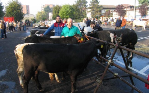 Domenica arriva la 122^ Fiera del Crocifisso