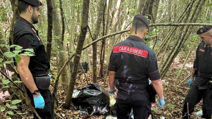 Droga e armi nei boschi, le indagini dei Carabinieri
