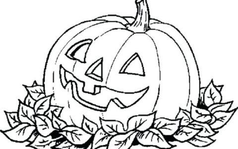 Halloween nei musei di Vercelli: tra torce, misteri e laboratori