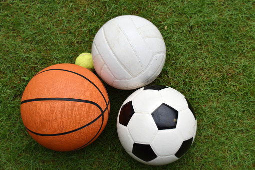 Il punto sui campionati di pallavolo e di basket in provincia di Alessandria