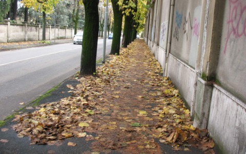 Iniziato il piano straordinario di spazzamento delle strade