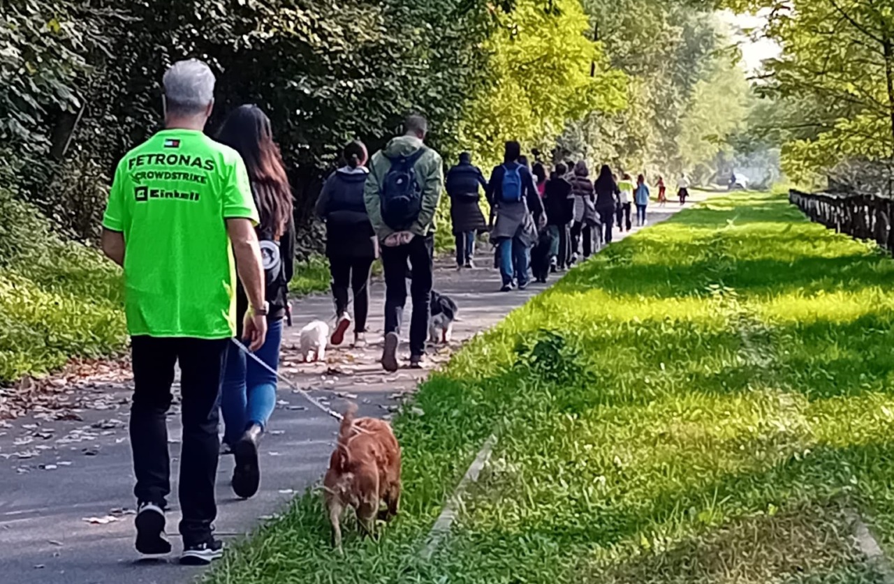 La “Zampettata d’autunno” ha visto la presenza di oltre 60 cani