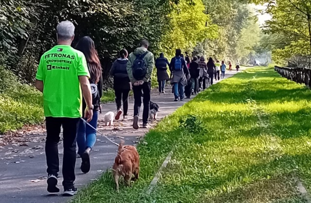La “Zampettata d’autunno” ha visto la presenza di oltre 60 cani