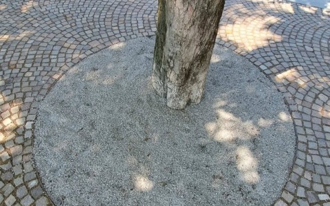 Lecco. Fosse degli alberi sul lungolago, al via la posa del nuovo materiale drenante