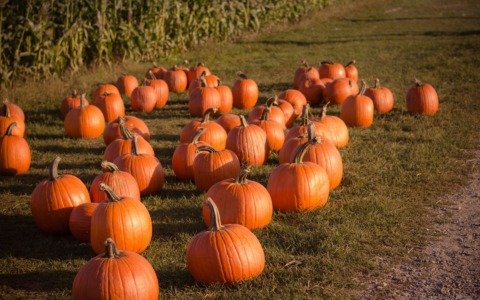 Previsioni meteo a Torino e provincia (27, 28 e 29 ottobre 2025)