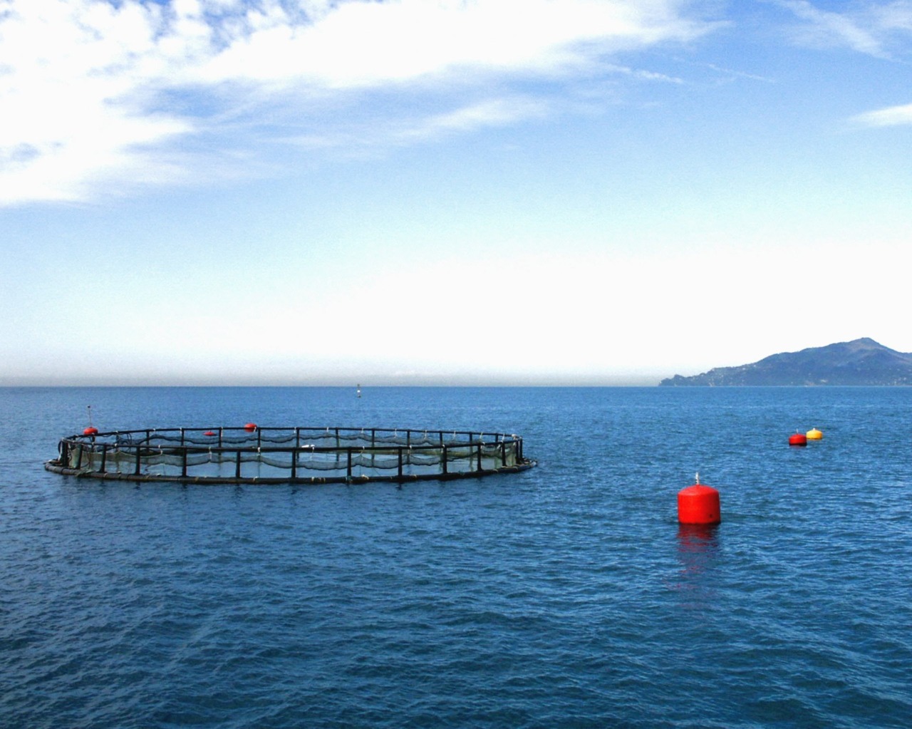 Ricorso di Aqua de Ma al Consiglio di Stato, Comune di Lavagna si costituisce in giudizio