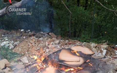 Rogo in mezzo al bosco con vecchi mobili di legno, l’intervento dei carabinieri forestali di Torino
