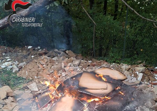 Rogo in mezzo al bosco con vecchi mobili di legno, l’intervento dei carabinieri forestali di Torino