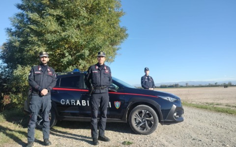 Sempre più lupi nelle campagne. Carabinieri della Forestale: “Hanno timore dell’uomo”