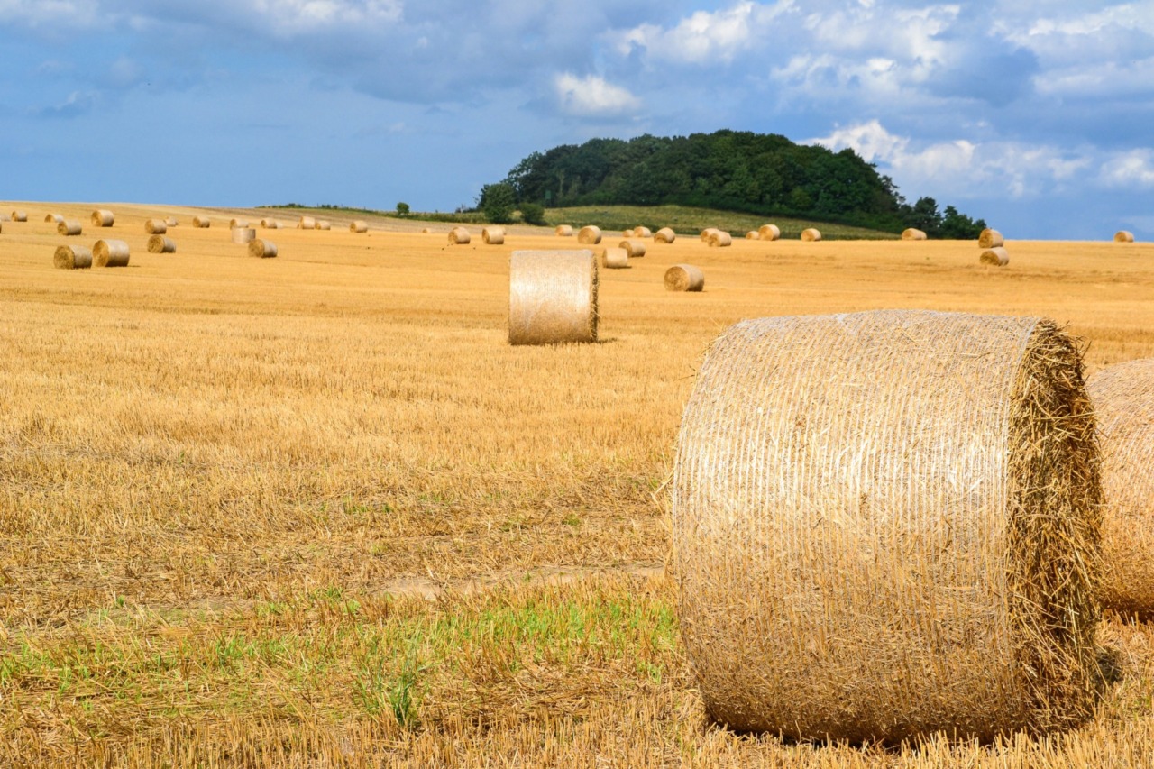 Sicurezza in campagna e sui luoghi di lavoro: una settimana di iniziative