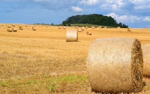 Sicurezza in campagna e sui luoghi di lavoro: una settimana di iniziative