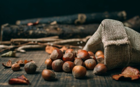 Torna l’appuntamento con la Castagnata in Castegnate