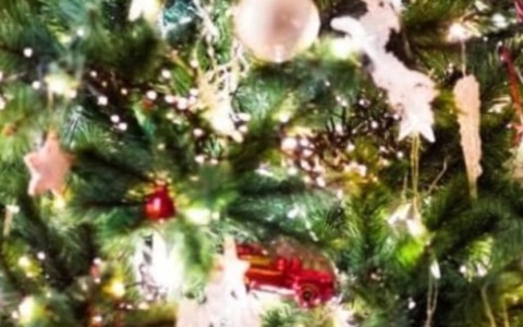 Toy run 2025, organizzati i punti di ritiro dei giocattoli usati in vista del Natale