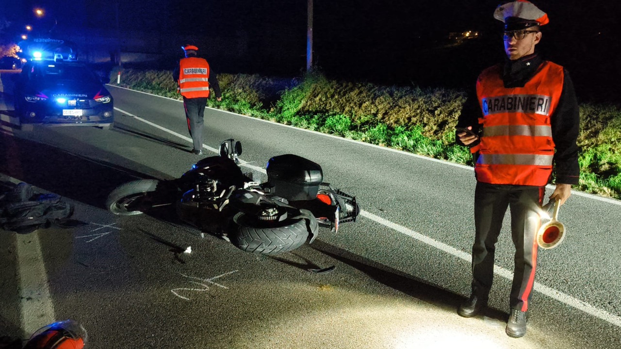 Travolge cinghiale sulla 590, motociclista grave al Giovanni Bosco