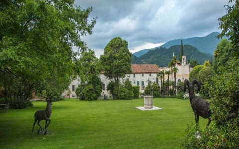 Wild Life Museum e gli eventi di novembre 2025