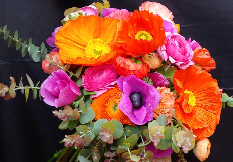 A Villa Ormond il ““Seminario Bouquet Sanremo edizione 2025”