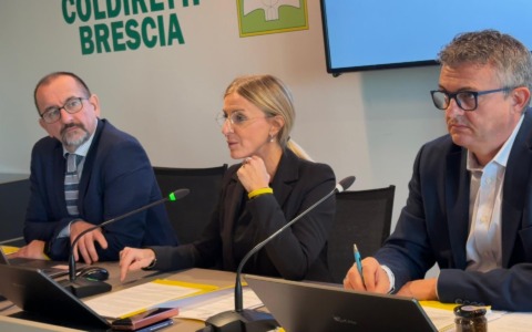 Annata Agraria 2024/2025: presentati i dati, la produzione nel Bresciano segna un +7,4%