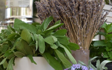 Aromatica a Oliova con uno stand promozionale e un cooking show d’eccezione