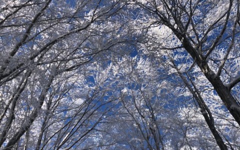 Arpal: in arrivo le prime nevicate della stagione in Liguria